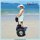 Self Balancing Sea Scooter for Personal Mobility in Summer