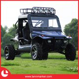 1100cc Dune Buggy 4X4 Go Kart