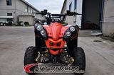 110cc Gas Quad Bike (AT1102)