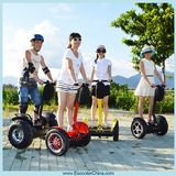 Mini Surf Electric Skateboard Scooter (ESIII)