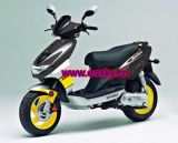 Scooter (TD150T-B8)
