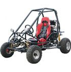 AAA Go Karts, Go Cart, Dune Buggy(SG810)