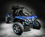 Renli 1100cc Go Kart Dune Buggy