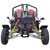 1000CC Go Kart/Buggy (FPG1000E)