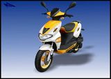 EEC Scooter (50QT-9) (B08)