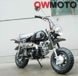 50CC New Mini Dirt Bike (QW-DB-09)