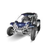 250cc Go Kart, Buggy, Quad, Max Power Go Cart (ZC-GK-08)