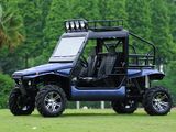 1100CC Go Kart 4X4 Dune Buggy