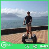 2015 Promotions off Road Outdoor Chariot Mountain Scooter