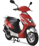 Gas Scooter (LB50QT-16(MODEL III))