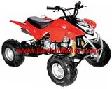 CE Mini Sport ATV & Quad (ATV-016)