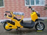 Electric Scooter (ES-01)