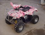 110CC ATV (TL110ATV-D)