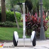 Fashion Electric Chariot Scooter for Teenagers