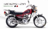 Motorcycle (YD125-2A)