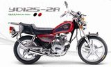 Motorcycle (YD125-2A)