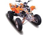 300cc Polaris Style Air-Cooling EPA / DOT ATV