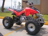 110CC ATV (KWS9-Q110)