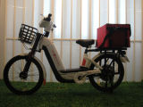 Electric Bicycle (FDEP-82)