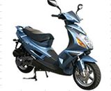 EEC Approved Gas Scooter (F150)