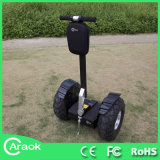 CE Approved 2 Wheel Electric Standing Scooter Ca1900b