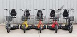 CE Approved 350W Electric Scooter Zappy