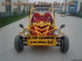 EEC Approved Go Carts 250CC