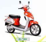 250W, 350W, 450W Pedal Electric Bike, Electric Scooter Bl-Nh