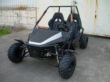 Racing Coc Standard EEC Dune Buggy Go Kart (KD 150GKM-2)