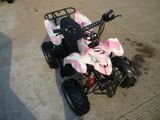 Moto Utility Quads 50cc Mini ATV for Fun (MDL GA002-5)