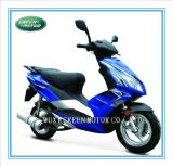 50cc/125c/150cc Gas Scooter with EEC Scooter (Swift)