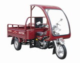 150CC Tricycle Xf-150zh / Three Wheel Motorcycle/with Glass Cover