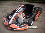 Professional Racing Karts for Fun