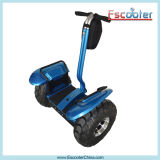 Newest Product Foldable Mini Electric Scooter