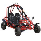 Go Kart (Gk110-N)