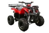 Single Cylinder Mini ATV with EPA Certificate (MDL GA003-2)