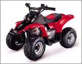 50cc Mini ATV (ATV50S-2)