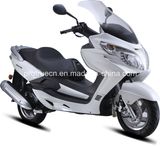 New Design Fashion Popular Scooter (SP125QT-19)