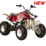 125cc Quad ATV Bike for Use