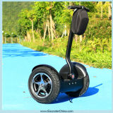 Ecorider Adult City Road Self Balancing Electric Scooter