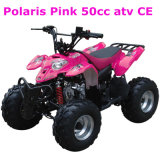50CC Mini ATV
