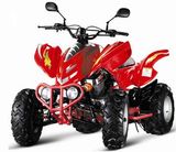 ATV (DY-A250S)