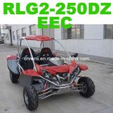 Go Kart EEC (RLG2-250DZ)