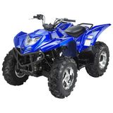 EEC 500CC ATV, 500CC Sports ATV (FPA500E-b)