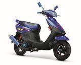 Motorcycle (BRG50QT-13/125T-13)