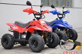 50CC Mini ATV for Kids (QW-ATV-01)