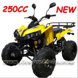 New 250cc ATV, QUAD (MC-364)