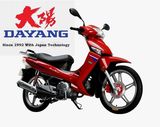 DAYANG *Star product* Cub Motorcycle 2010 (DY110-18)