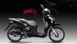 New 300cc EPA & DOT Scooter, Moped  (300cc--8)