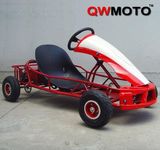 Electrical 350W Small Go Kart Go Cart for Kids with Safety Belt (QW-GK-01)